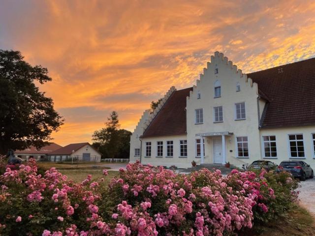 Boutique Hotel Gut Tribbevitz Neuenkirchen auf Rugen Экстерьер фото